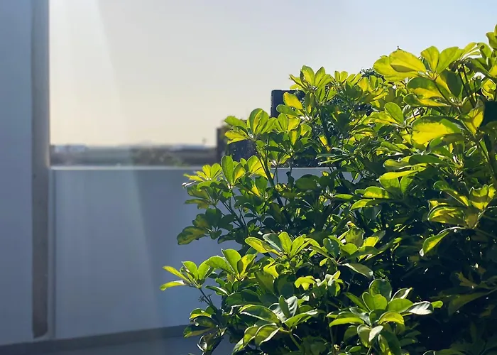 Ferienhaus Quintero Tinguaton